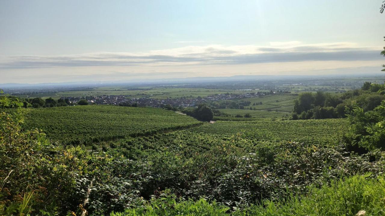 Hotel Speeter Weisenheim am Berg Luaran gambar